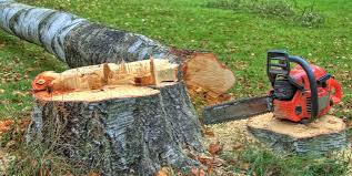 Best Arborist Consultation Services  in Lake Don Pedro, CA